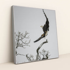 7090332500003 - Product Image