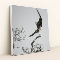 7090332500003 - Product Image