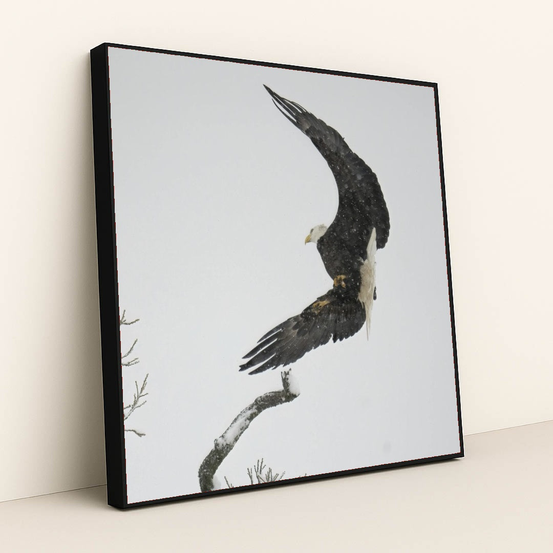 7090327388195 - Product Image