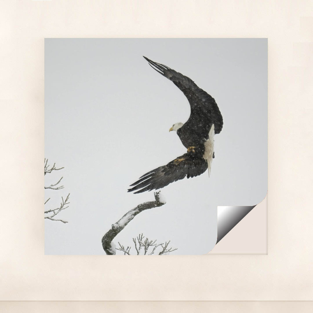 7090327388195 - Product Image