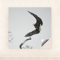 7090327388195 - Product Image