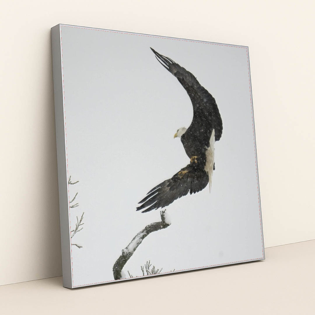 7090327388195 - Product Image