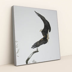 7090327388195 - Product Image