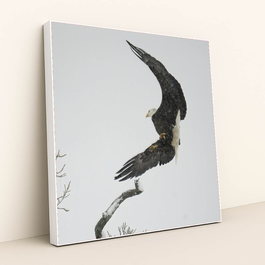 7090327388195 - Product Image