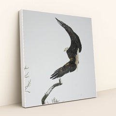 7090327388195 - Product Image