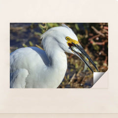 7090327519267 - Product Image