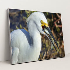 7090327519267 - Product Image