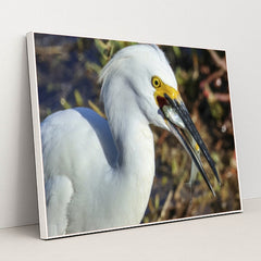 7090327519267 - Product Image