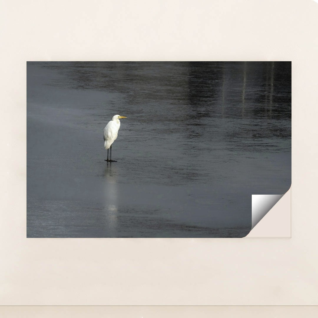 7090330173475 - Product Image