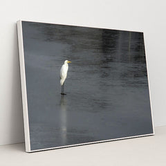 7090330173475 - Product Image