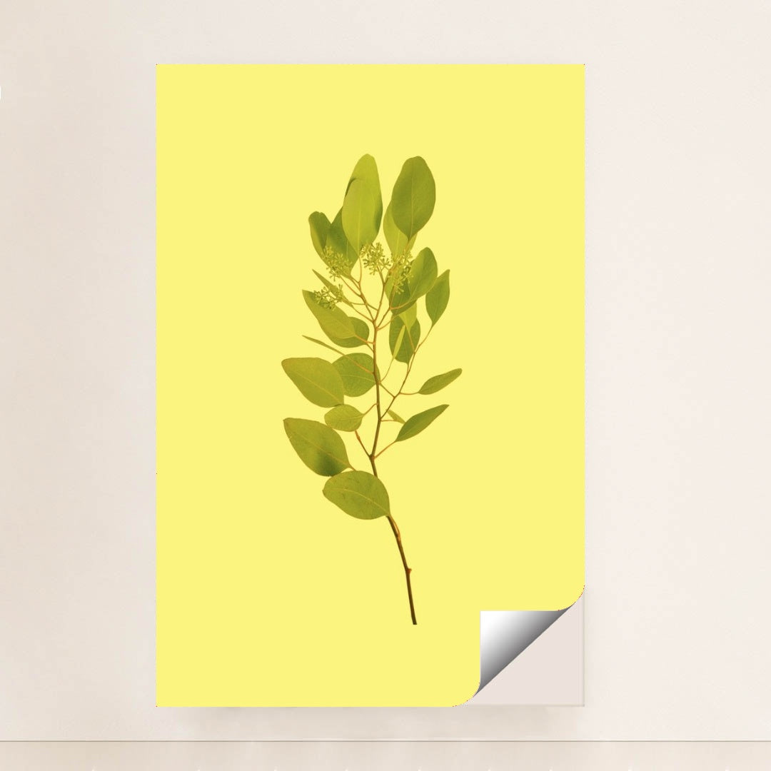 7090330075171 - Product Image