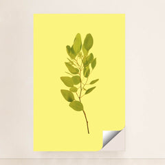 7090330075171 - Product Image