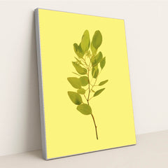 7090330075171 - Product Image