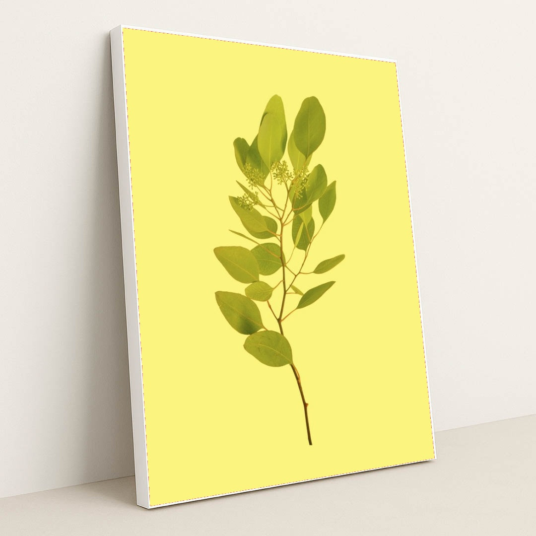 7090330075171 - Product Image