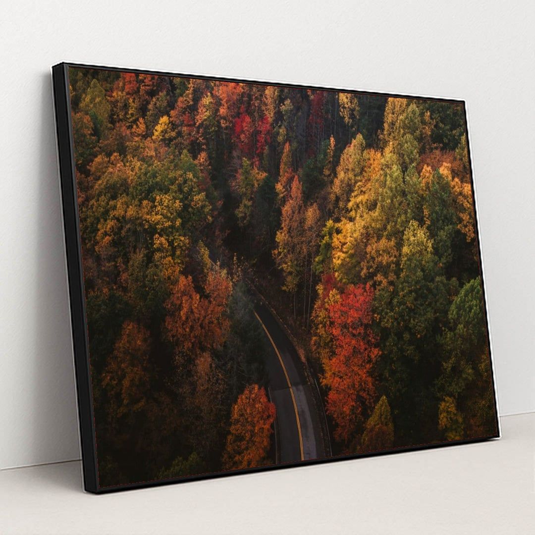 6338 - Product Image