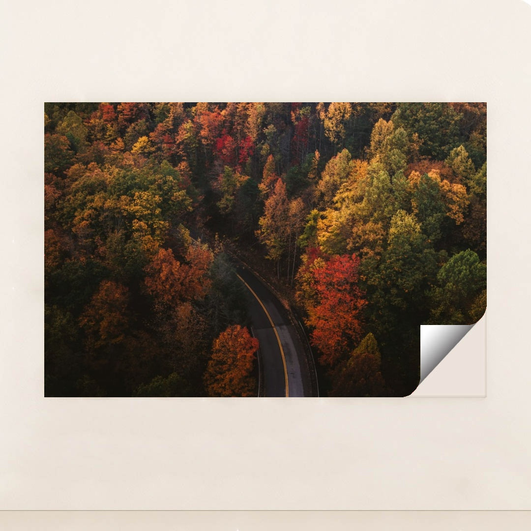 6338 - Product Image