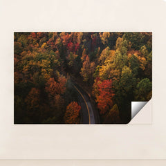 6338 - Product Image