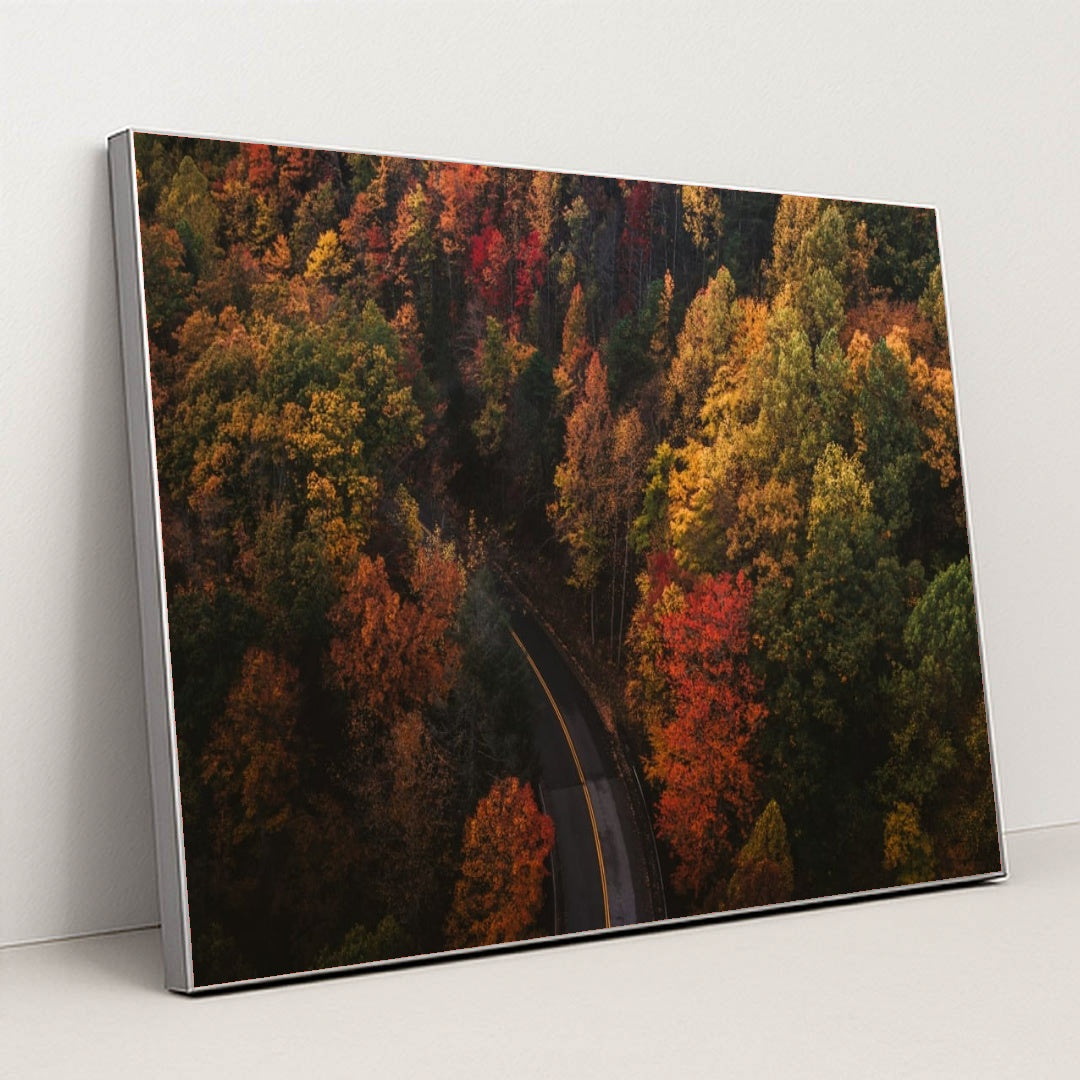 6338 - Product Image