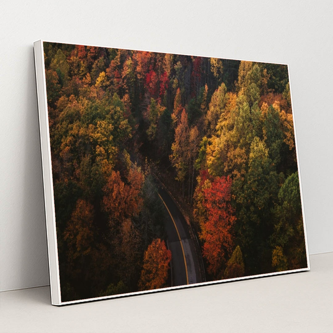 6338 - Product Image