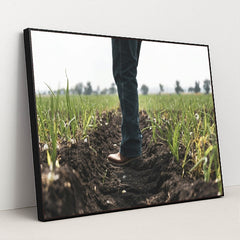 7090331287587 - Product Image