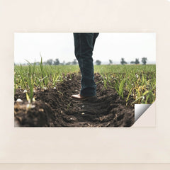 7090331287587 - Product Image