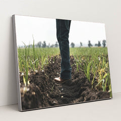 7090331287587 - Product Image