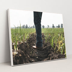 7090331287587 - Product Image