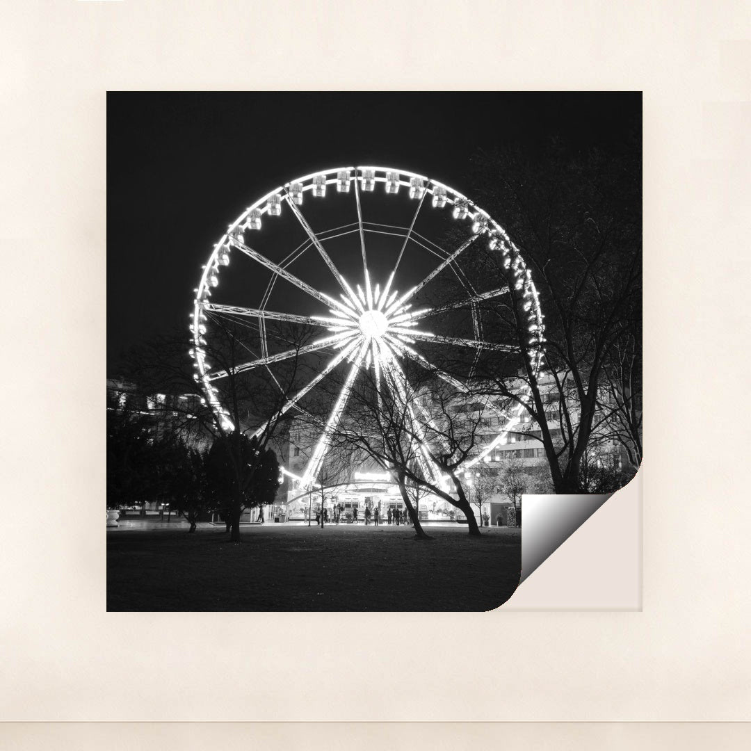 7090784337955 - Product Image