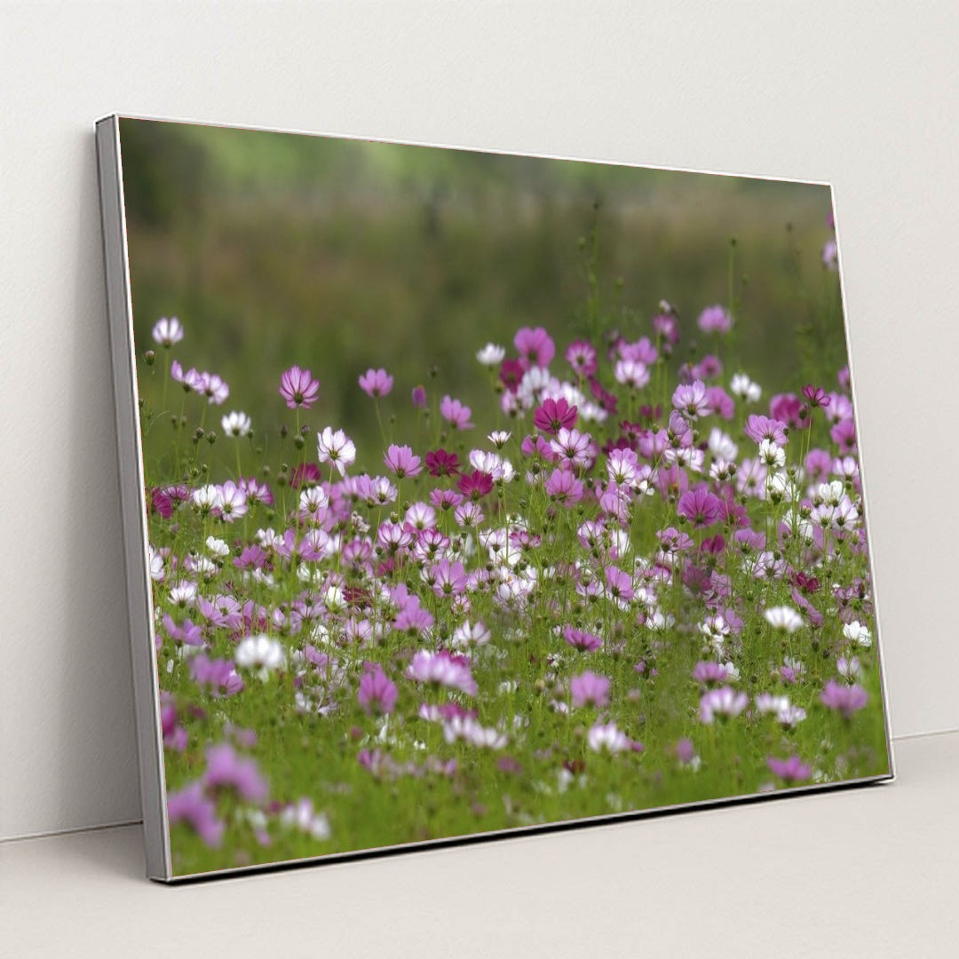 7090289147939 - Product Image