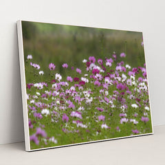 7090289147939 - Product Image