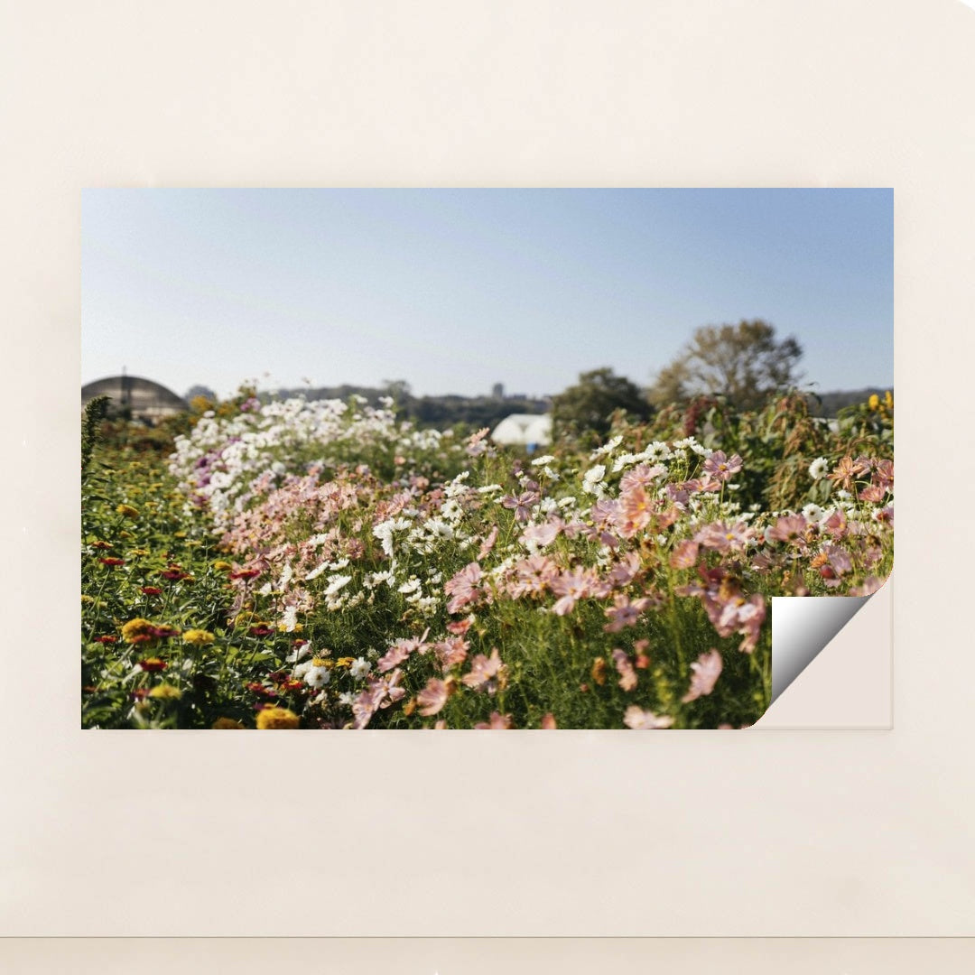 7090358190115 - Product Image