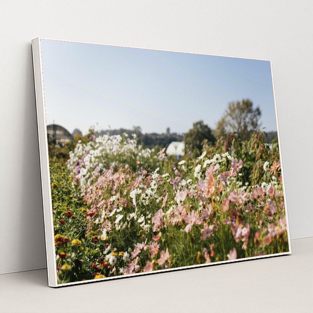 7090358190115 - Product Image