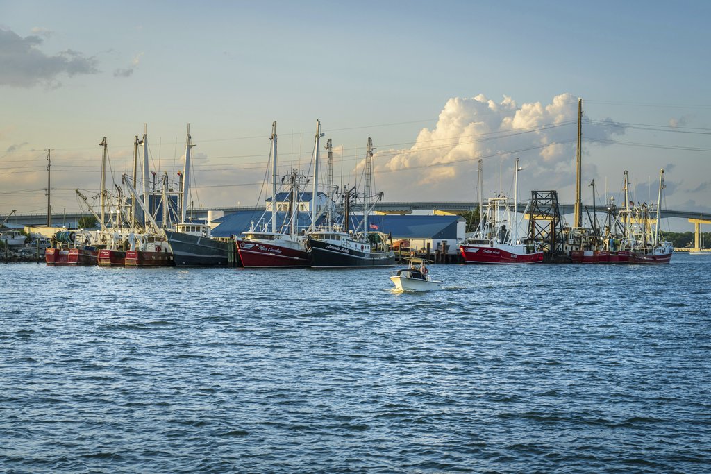 Mark Stebnicki - A vibrant harbor scene with fishing boats moored under a clear blue sky during the day.
