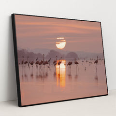 7090228625443 - Product Image