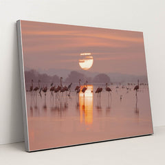 7090228625443 - Product Image