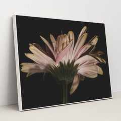 7090288525347 - Product Image