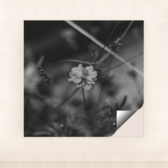 7090217484323 - Product Image