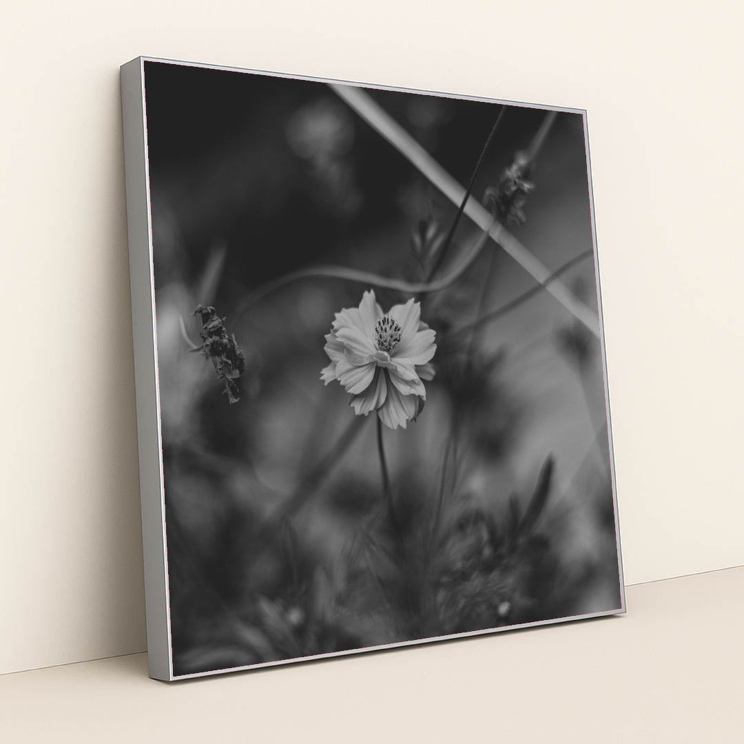 7090217484323 - Product Image