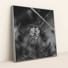 7090217484323 - Product Image