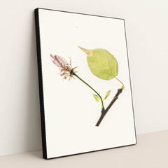 7090246484003 - Product Image