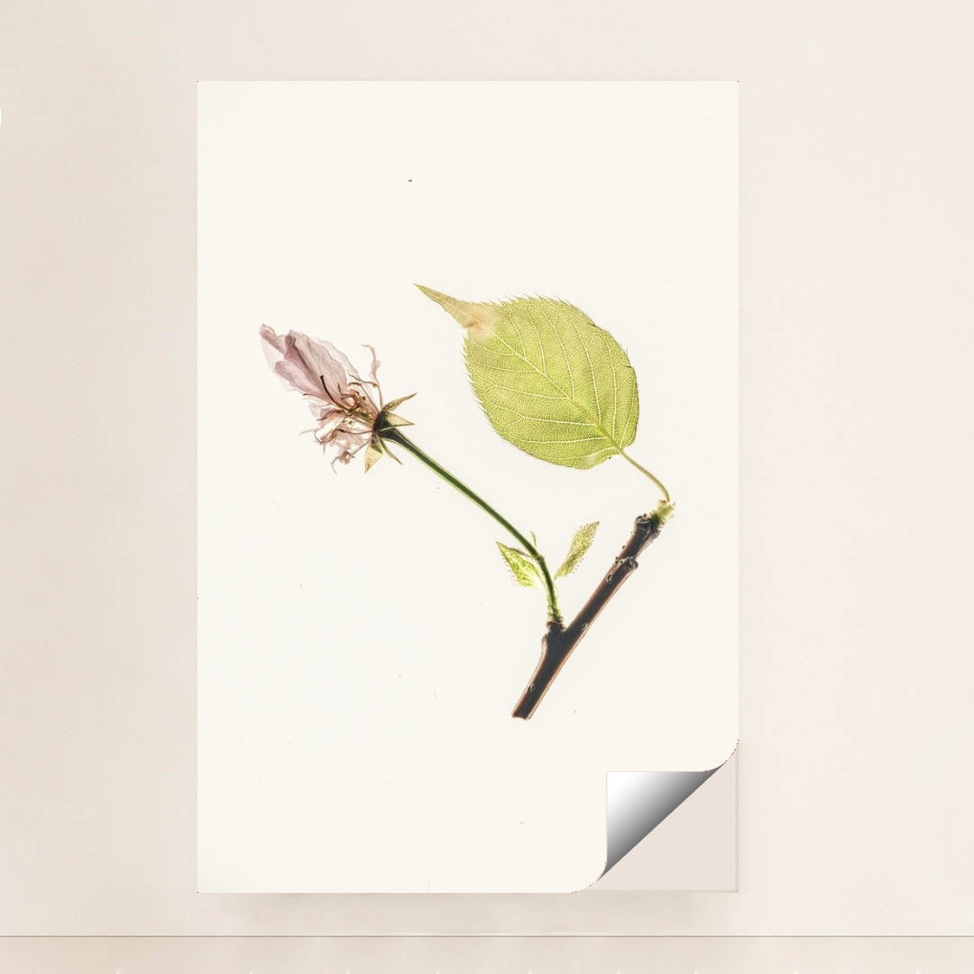 7090246484003 - Product Image