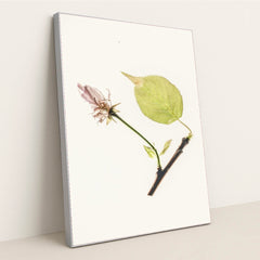 7090246484003 - Product Image