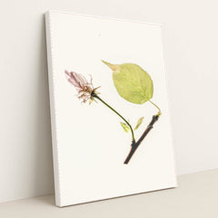 7090246484003 - Product Image