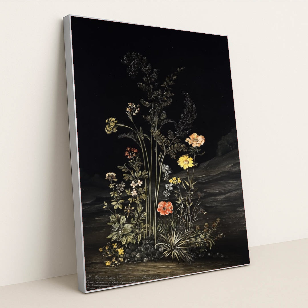 6434 - Product Image