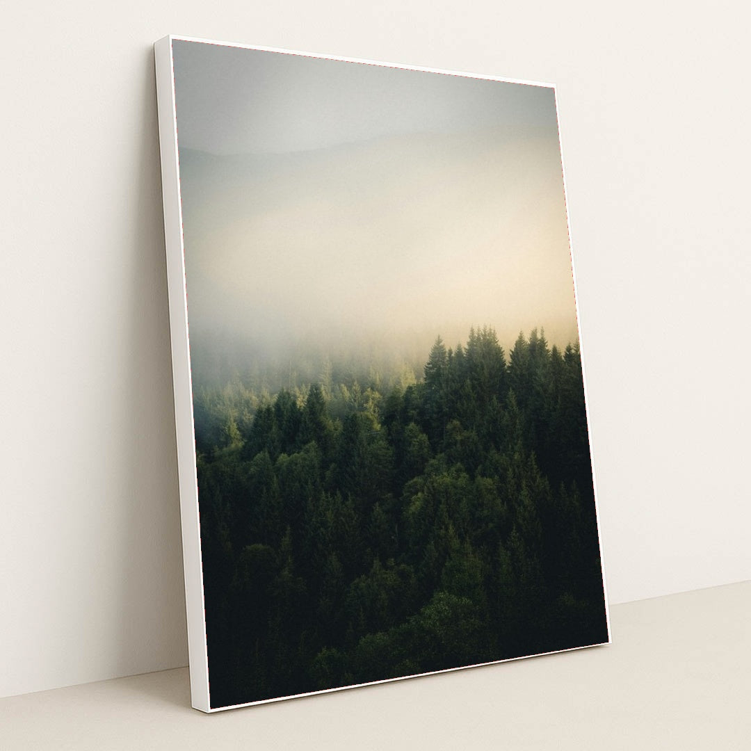 7077675302947 - Product Image