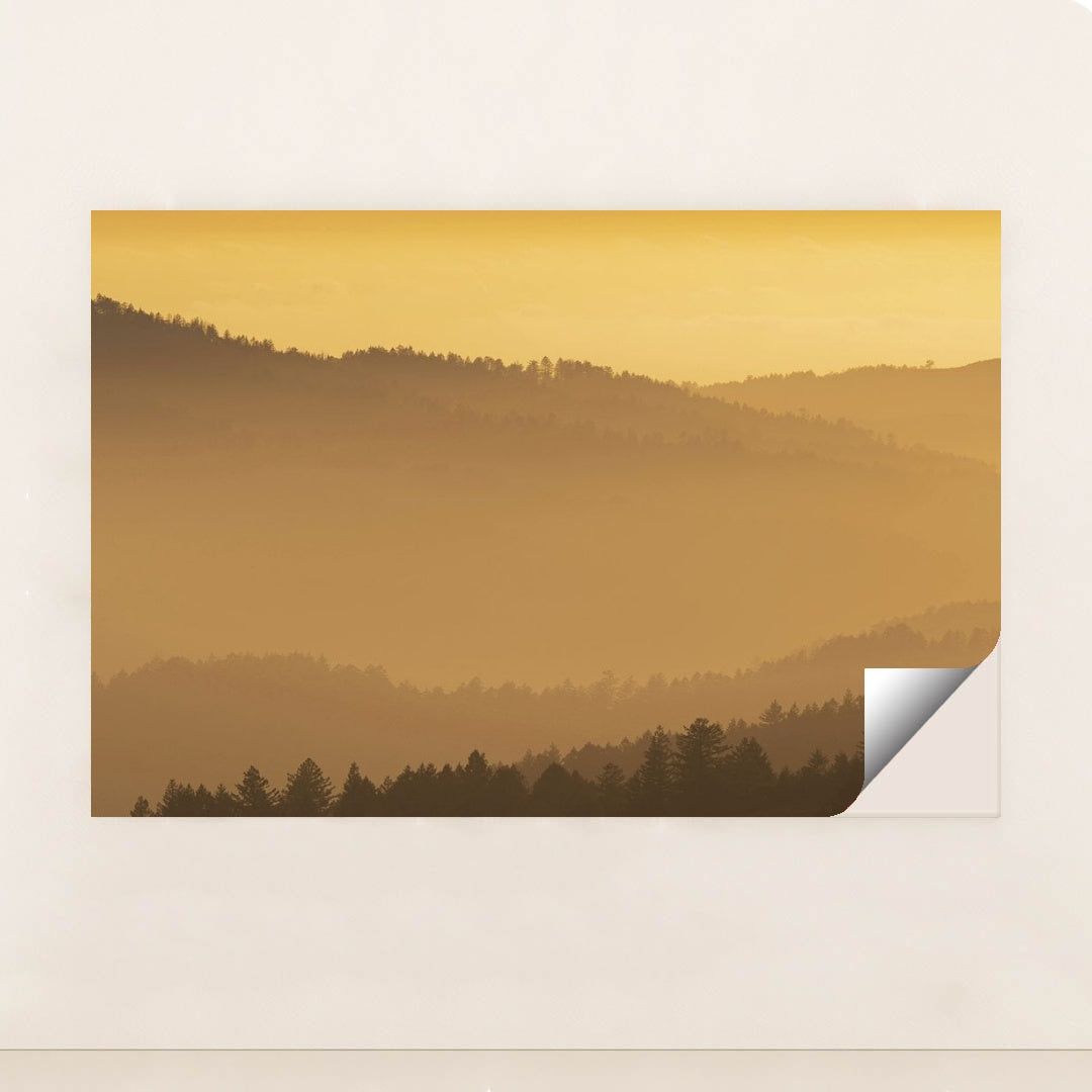 7090804228131 - Product Image