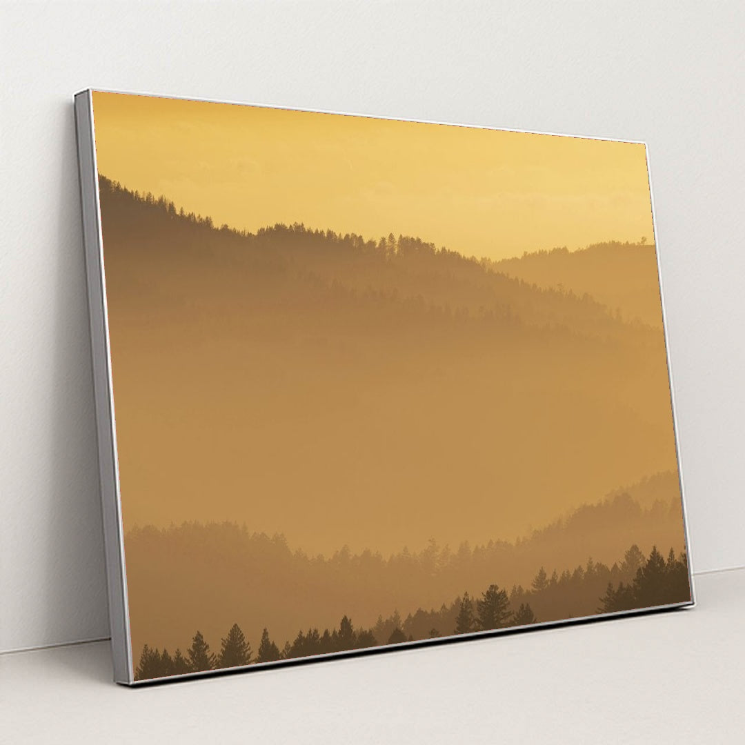 7090804228131 - Product Image