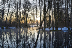 Raul Ling - Serene Winter Forest Landscape At Sunset