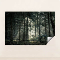 7090296815651 - Product Image