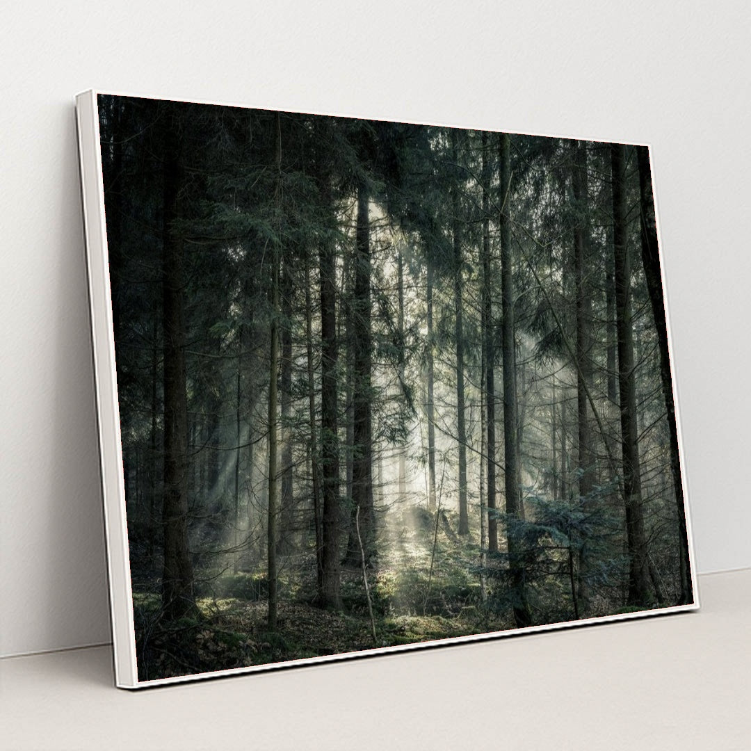 7090296815651 - Product Image